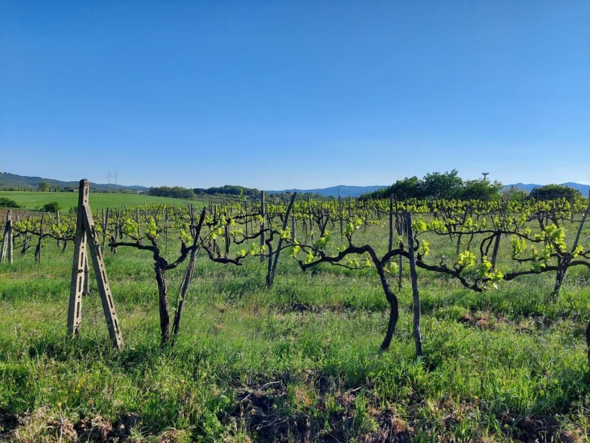 Tenuta I Lecci Terranuova Bracciolini Exterior foto